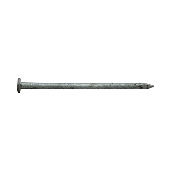 National Nail 2.5 in. 8D 5 lbs Common Nail 5692736 - main